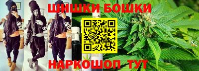 индика Тула