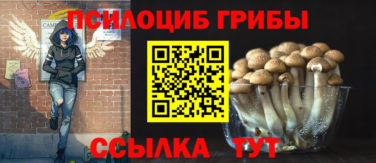 Новосибирск  Галлюциногенные грибы Psilocybe  купить наркотики цена  Вход с VPN  Галлюциногенные грибы мицелий 